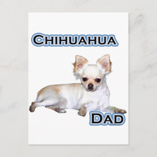 Chihuahua-Vater 4 Postkarte (Vorderseite)