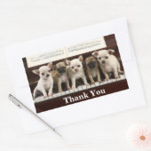 Chihuahua Vielen Dank an Welpenhunde ( Chewawa Chi Rechteckiger Aufkleber (Umschlag)