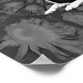 Chihuahua Vintage Schwarz-Weiß-Hunde Kunst Poster (Ecke)