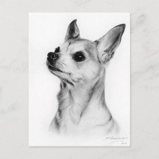 Chihuahua von Hand bemalt Postkarte (Vorderseite)