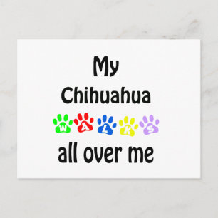 Chihuahua Walks Design Postkarte