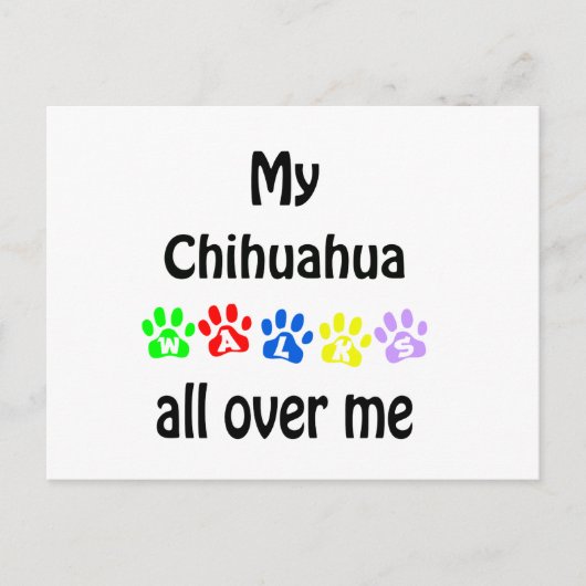 Chihuahua Walks Design Postkarte (Vorderseite)