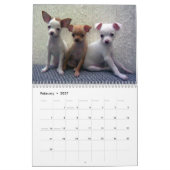 Chihuahua-Wandkalender Kalender (Feb 2027)