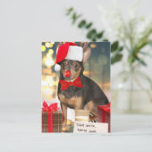 Chihuahua Weihnachten (Stehend Vorderseite)