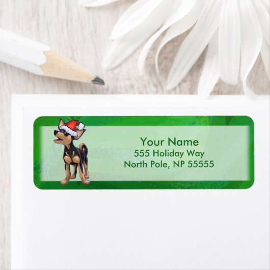 Chihuahua Weihnachten auf Grün (Insitu)