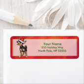 Chihuahua Weihnachten auf Rot (Insitu)