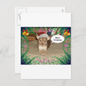 Chihuahua-Weihnachten Feiertagspostkarte (Vorne/Hinten)