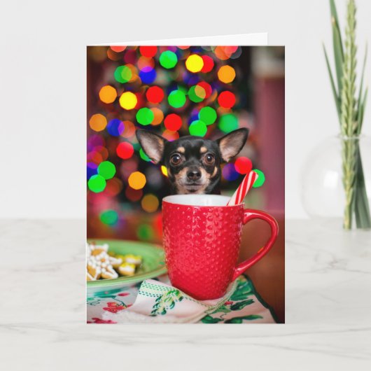 Chihuahua Weihnachten Karte (Vorderseite)