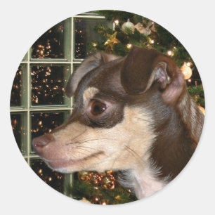 Chihuahua-Weihnachten Runder Aufkleber