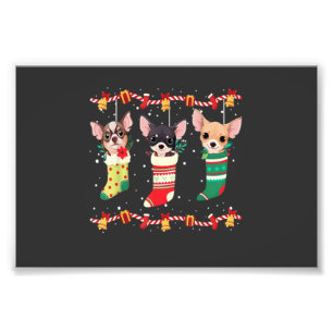 Chihuahua Weihnachts Socken Lichter Lustiger Xmas  Fotodruck