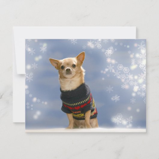 Chihuahua Weihnachtseinladung Einladung (Vorderseite)