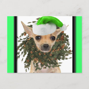 Chihuahua Weihnachtsfeier & Hat Feiertagspostkarte