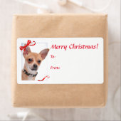 Chihuahua Weihnachtsgeschenke Stickers (Insitu)