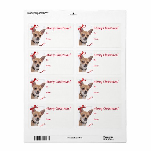 Chihuahua Weihnachtsgeschenke Stickers (Vorne)