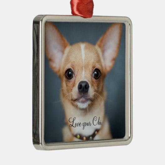 Chihuahua Weihnachtsgeschmuck Metal hinzufügen Silbernes Ornament (Rechts)