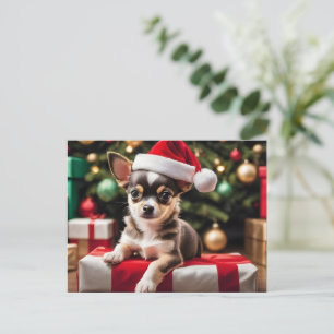 Chihuahua-Weihnachtshündchen Postkarte