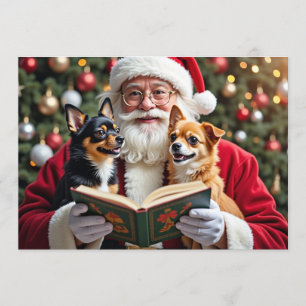 Chihuahua-Weihnachtskarte Feiertagskarte