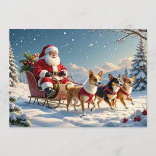 Chihuahua-Weihnachtskarte Feiertagskarte