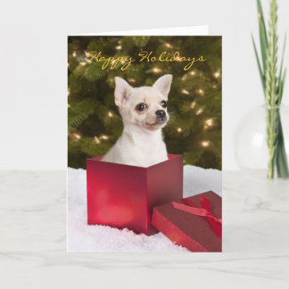 Chihuahua Weihnachtskarte Feiertagskarte