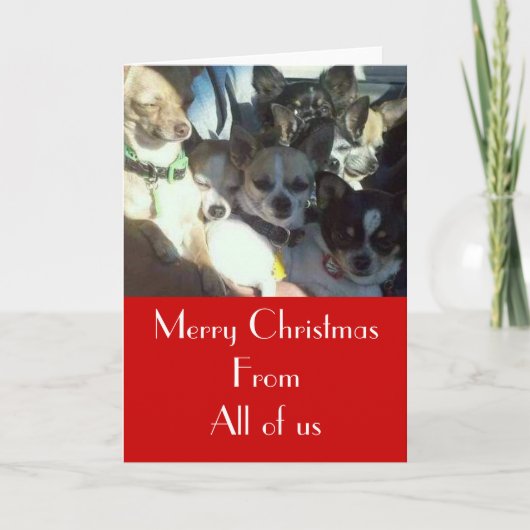 Chihuahua-Weihnachtskarte Feiertagskarte (Vorderseite)