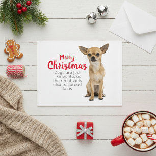 Chihuahua Weihnachtskarte Feiertagspostkarte