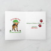 Chihuahua Weihnachtspenden Feiertagskarte (Innenseite)