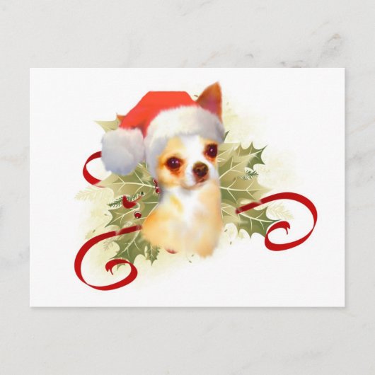 Chihuahua Weihnachtspostkarte Feiertagspostkarte (Vorderseite)