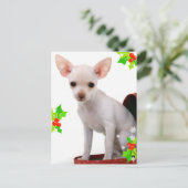 Chihuahua Weihnachtspostkarte Feiertagspostkarte (Stehend Vorderseite)