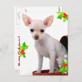 Chihuahua Weihnachtspostkarte Feiertagspostkarte (Vorne/Hinten)
