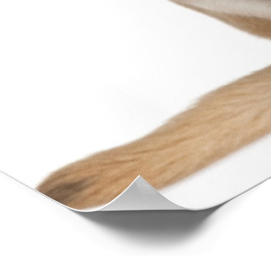 Chihuahua Welpe (2 Monate alt) Poster (Ecke)