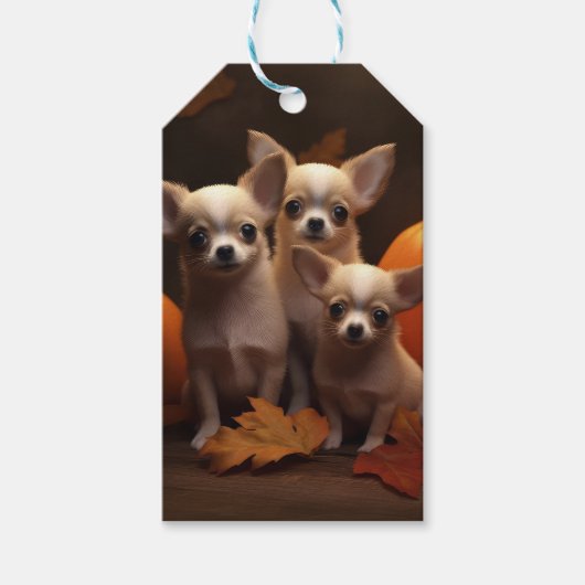 Chihuahua Welpe Autumn Delight Pumpkin Geschenkanhänger (Vorderseite)