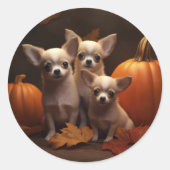 Chihuahua Welpe Autumn Delight Pumpkin Runder Aufkleber (Vorderseite)