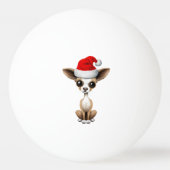 Chihuahua-Welpe, der eine Weihnachtsmannmütze Tischtennisball (Vorderseite)