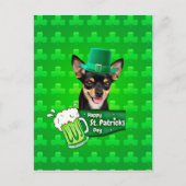 Chihuahua Welpe Dog St. Patrick's Day Green Clover Postkarte (Vorderseite)