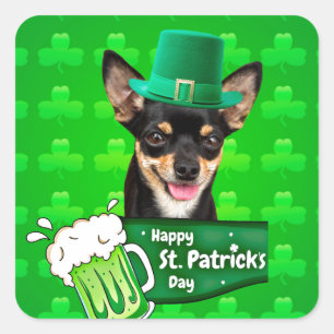 Chihuahua Welpe Dog St. Patrick's Day Green Clover Quadratischer Aufkleber