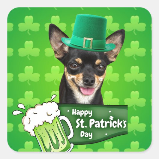 Chihuahua Welpe Dog St. Patrick's Day Green Clover Quadratischer Aufkleber (Vorderseite)