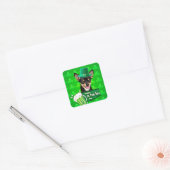 Chihuahua Welpe Dog St. Patrick's Day Green Clover Quadratischer Aufkleber (Umschlag)