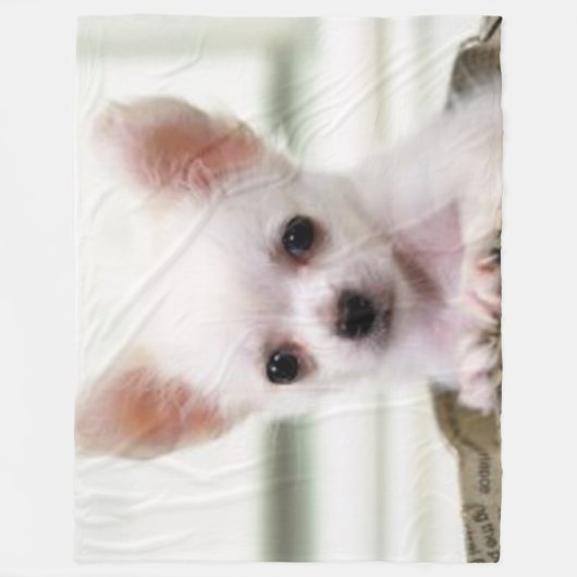 CHIHUAHUA-WELPE FLEECEDECKE (Vorderseite)