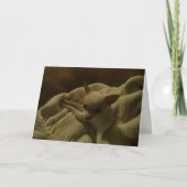 Chihuahua-Welpe-Grußkarte Karte (Vorderseite)