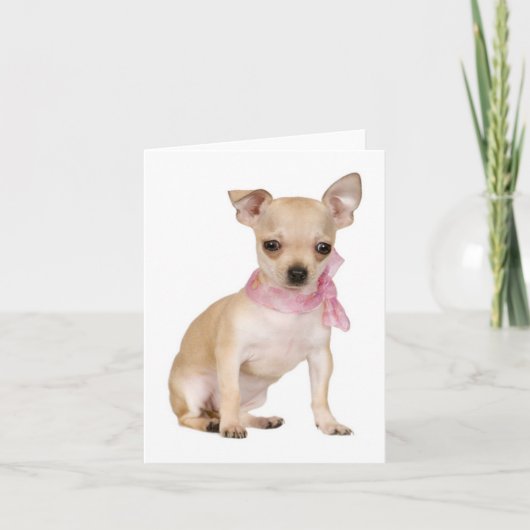 Chihuahua Welpe Hund Blank Note oder Grußkarte Karte (Vorderseite)