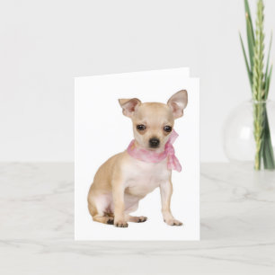 Chihuahua Welpe Hund Blank Note oder Grußkarte Karte
