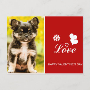 Chihuahua Welpe Hund Happy Valentine's Day Postkar Feiertagspostkarte