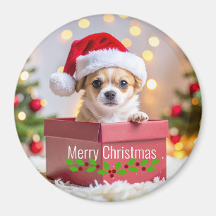 Chihuahua-Welpe Hund Weihnachten Magnet