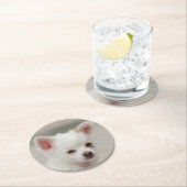 Chihuahua Welpe im Garten Runder Pappuntersetzer (Vor Ort)