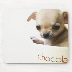 Chihuahua-Welpe in Schüssel (zugeschnitten) Mousepad
