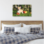 Chihuahua Welpe mit Äpfeln Leinwanddruck (Insitu (Schlafzimmer))