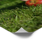 Chihuahua Welpe mit Äpfeln Poster (Ecke)