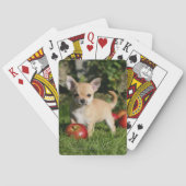 Chihuahua-Welpe mit Äpfeln Spielkarten (Rückseite)