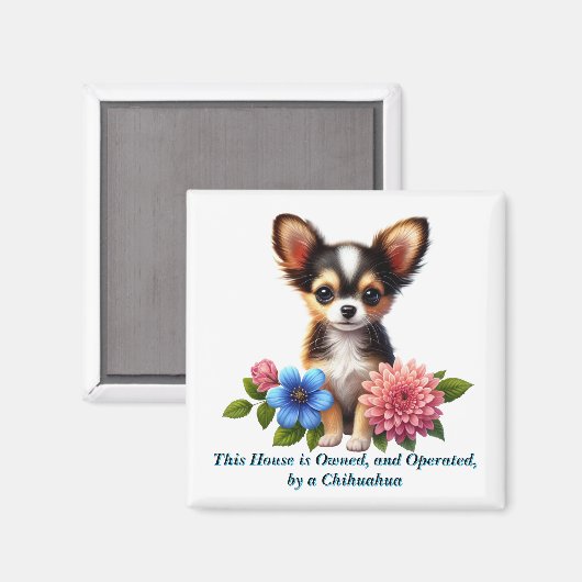 Chihuahua Welpe mit dekorativen Blume Magnet (Vorderseite/Rückseite)