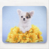 Chihuahua-Welpe Mousepad (Vorne)